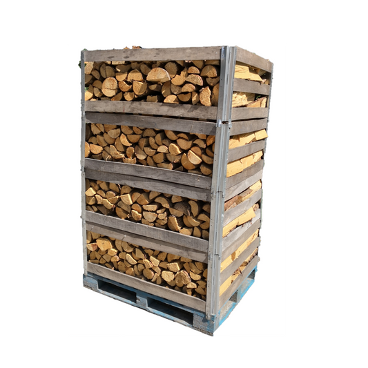 Fichte / Kiefer in Mehrwegkiste